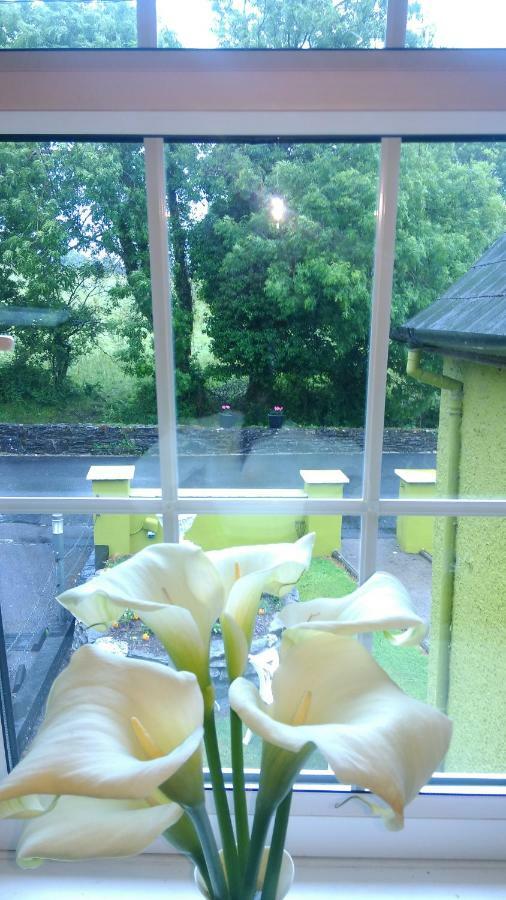 Kilgarvan Gortnaboul House Bed & Breakfast エクステリア 写真
